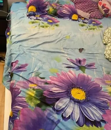 Lovely 2 Bedroom With Free Parking * Søborg